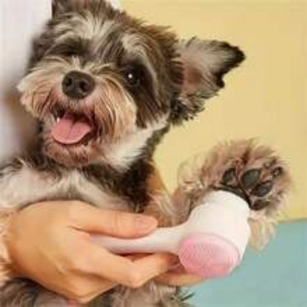 Nylon Pet Paw Brush Gentle Grooming And Massage Tool