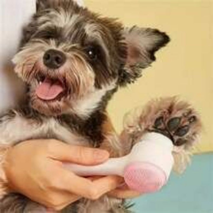 Nylon Pet Paw Brush Gentle Grooming And Massage Tool