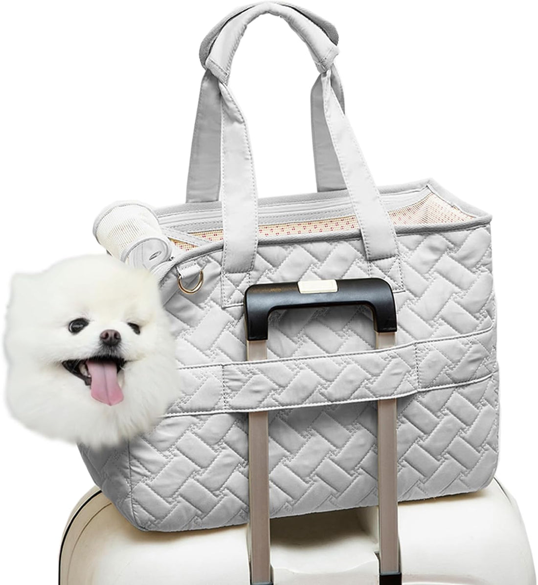 Breathable Mesh Pet Carrier Bag With Multiple Pockets And Cushion