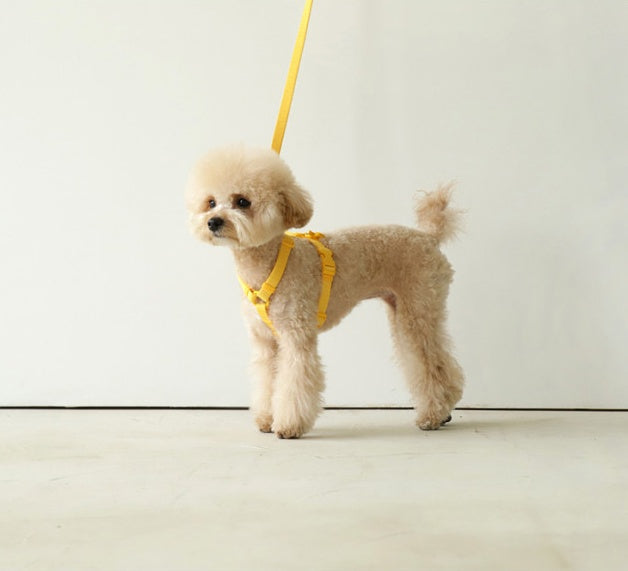 Macaron-Style Adjustable Pet Leash