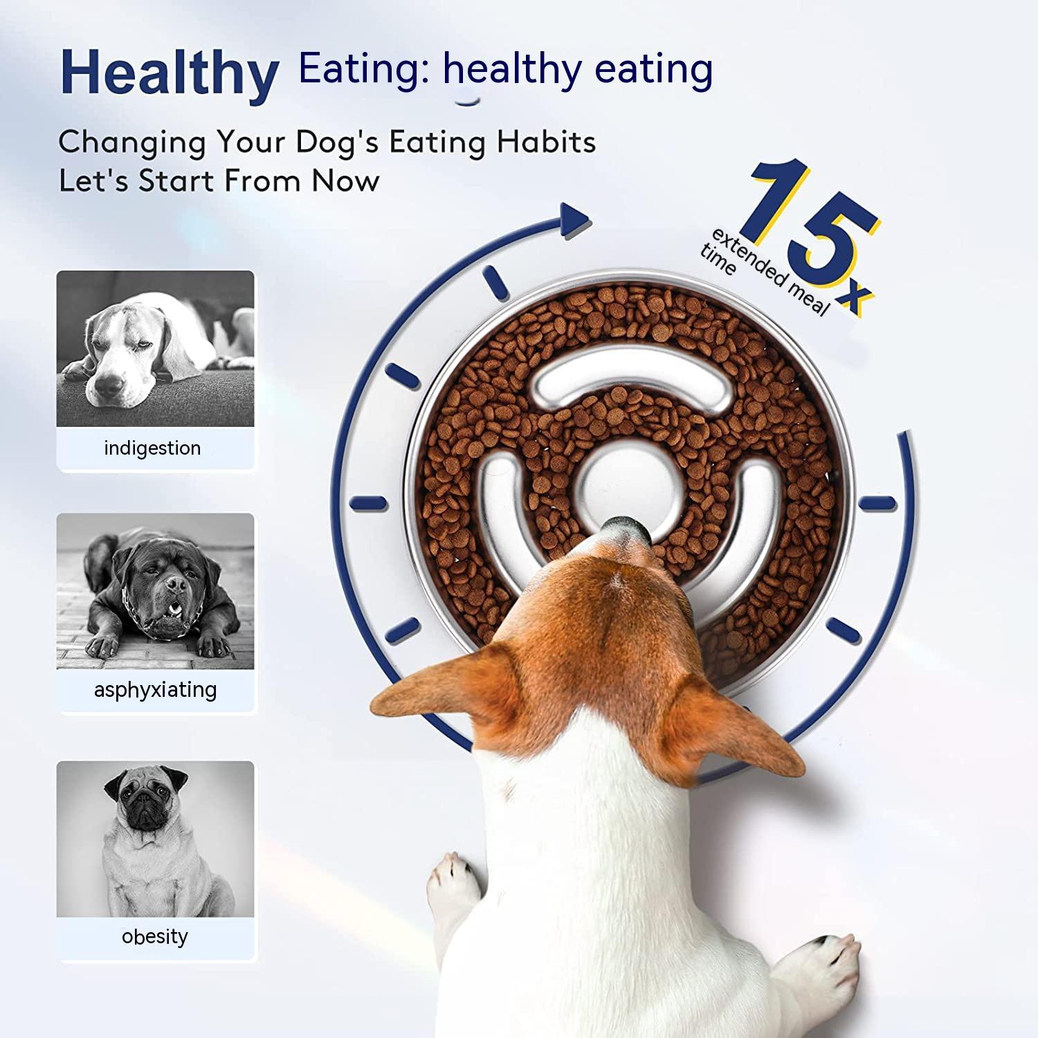 Pet Stainless Steel Slow Feeding Bowl Neck Protector