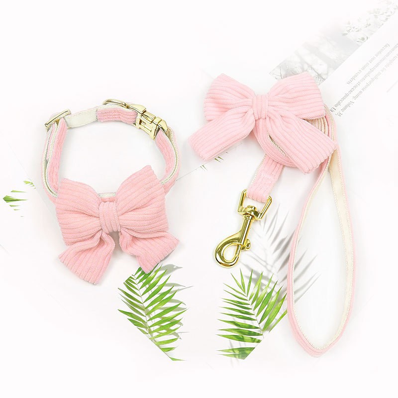 Pet Leash And Harness Outdoor Walking Set