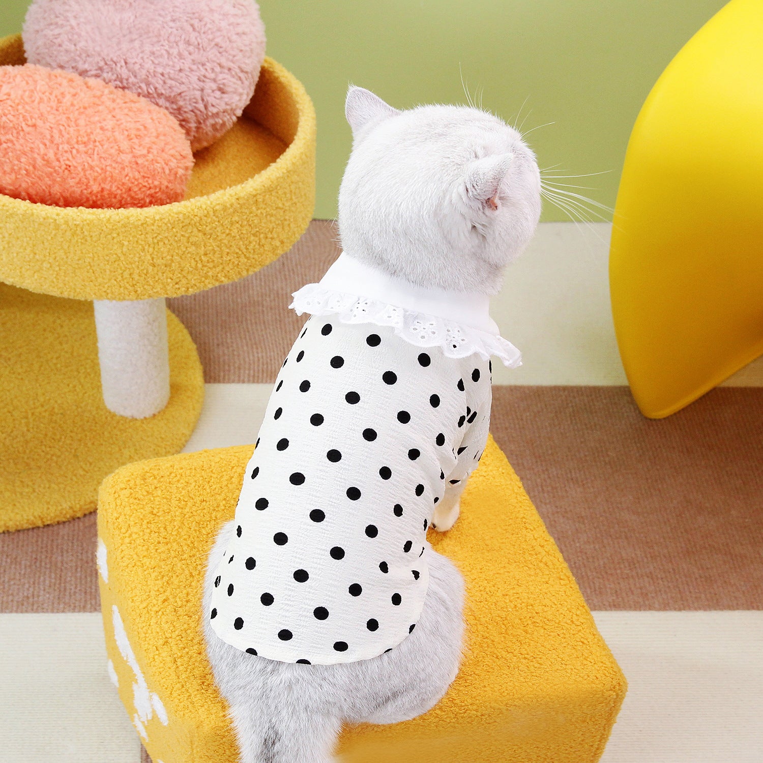 Pet Blue Ragdoll T-Shirt Clothing Apparel