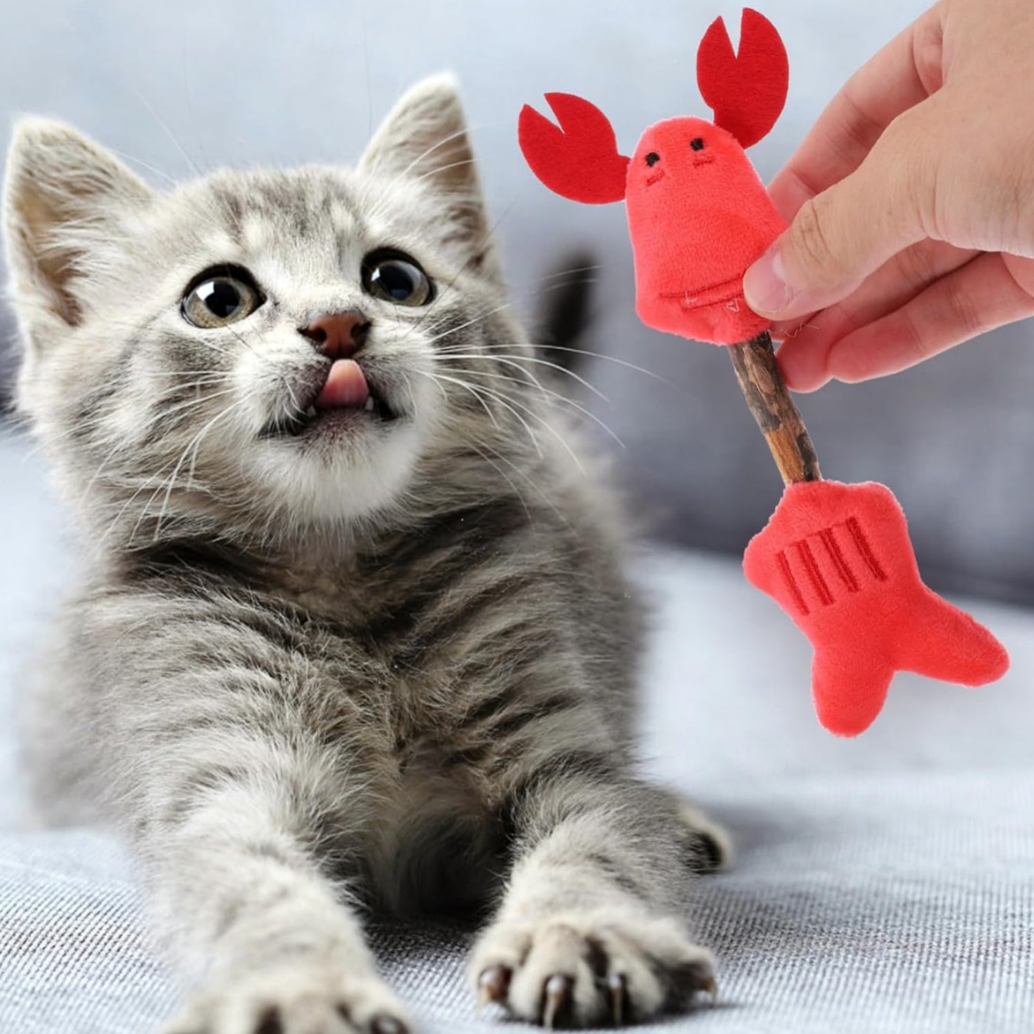 Pet Chew Stick Silvervine Teeth Cleaning Interactive Toy