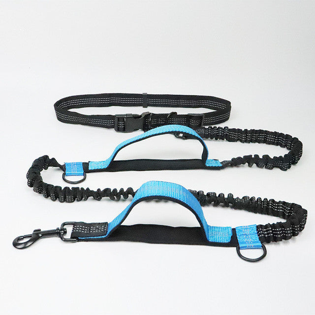 Adjustable Pet Harness And Jogging Leash Set