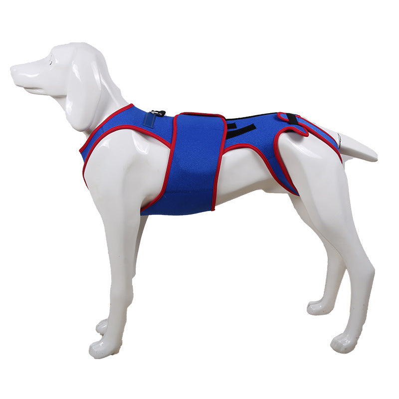 Pet Spine Support Jacket Corrects Posture And Prevents Hunching