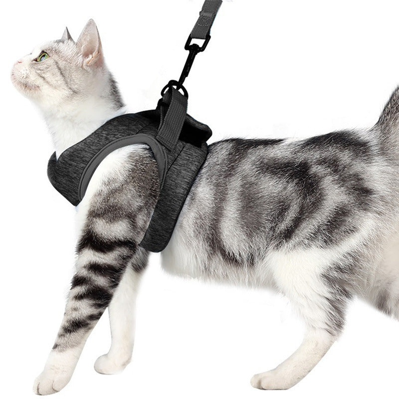 Breathable Lightweight Pet Leash With Chest Strap