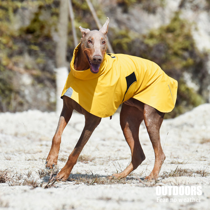 Waterproof Windproof Pet Shell Raincoat Jacket
