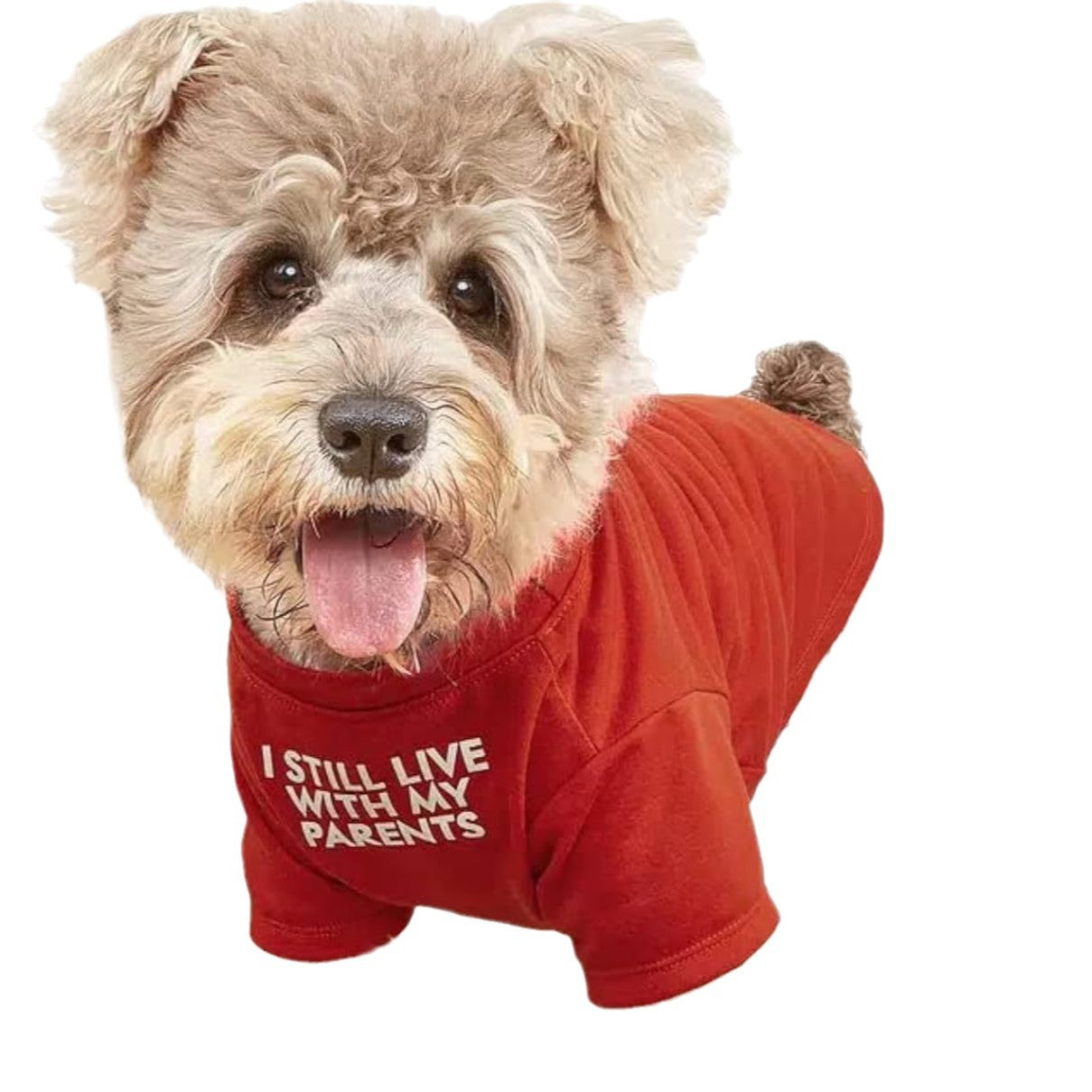 Pet Round Neck T-Shirt Clothing Apparel