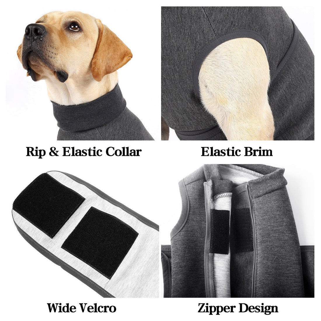Pet Comfort Cotton Double Layer Jacket Clothing