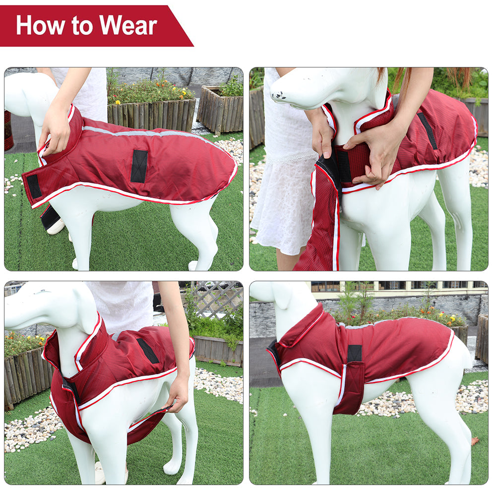 Waterproof Warm Autumn Winter Pet Leisure Jacket