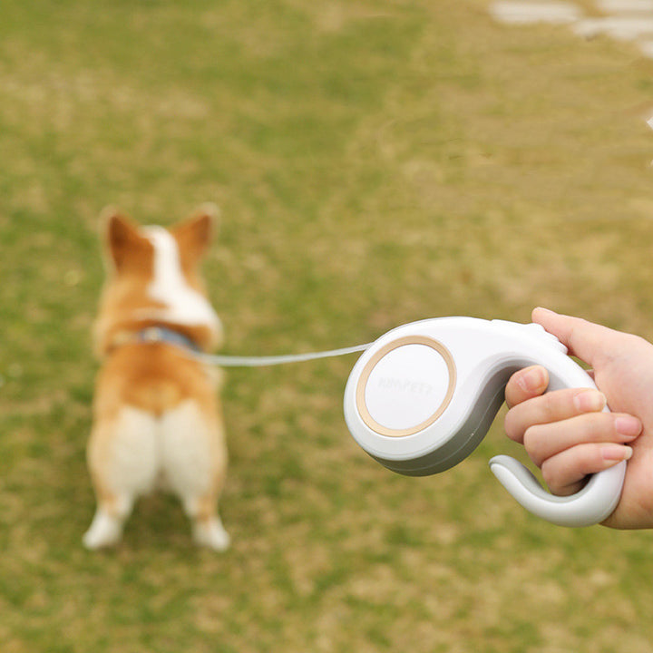Pet Automatic Retractable Leash Control Walking Lead