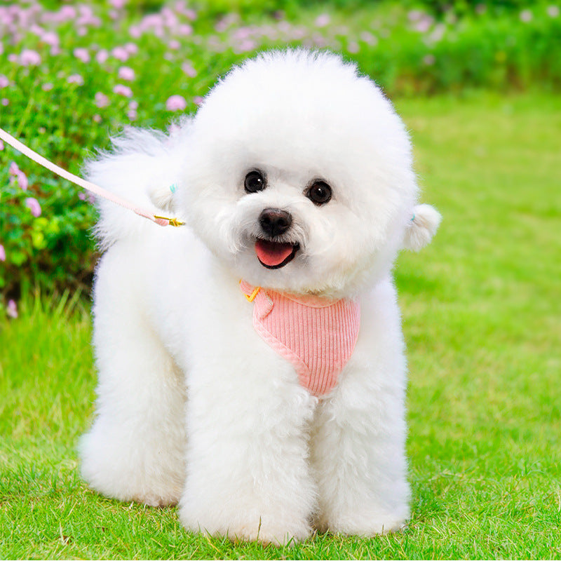 Pet Leash And Harness Outdoor Walking Set