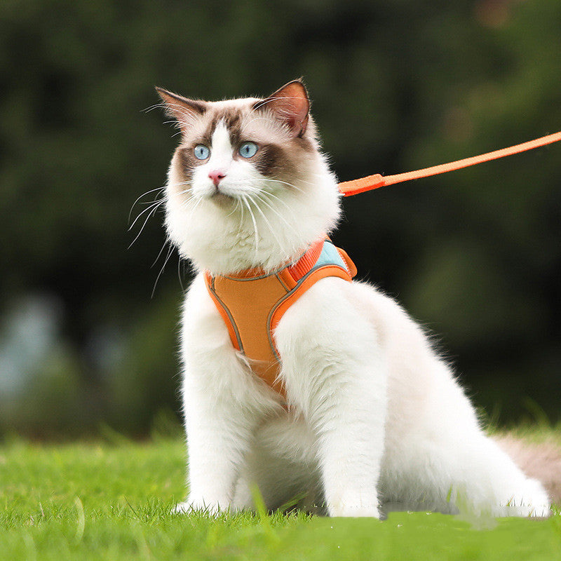 Pet Anti-Escape Reflective Harness With Leash Set
