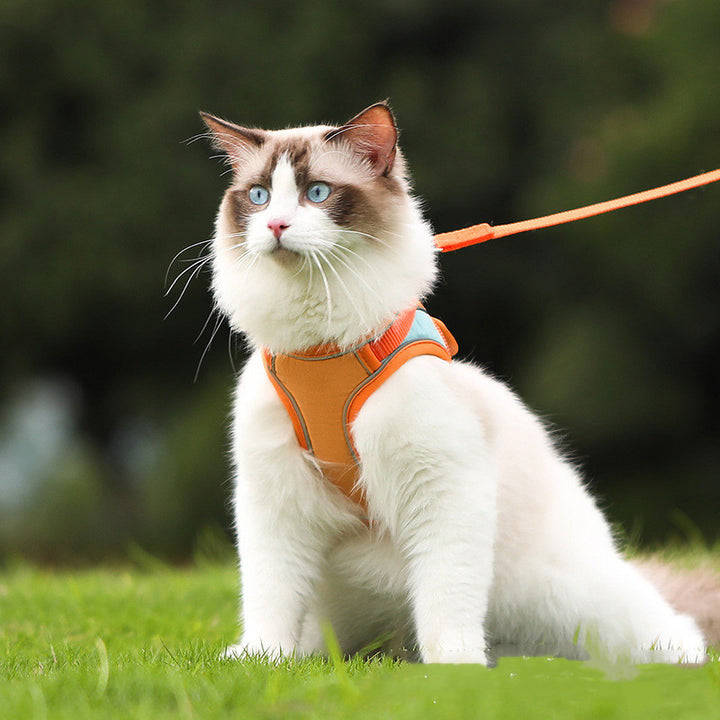 Pet Anti-Escape Reflective Harness With Leash Set
