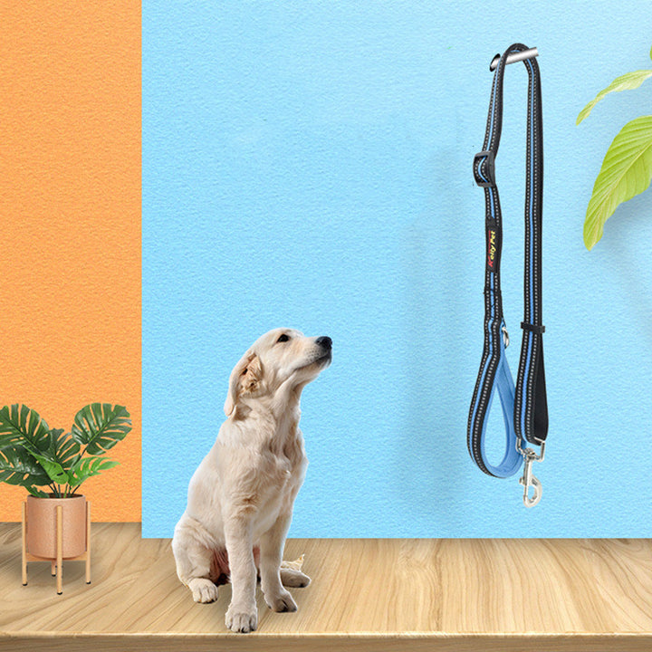 Pet Nylon Assisted Retractable Leash Durable Walking Lead