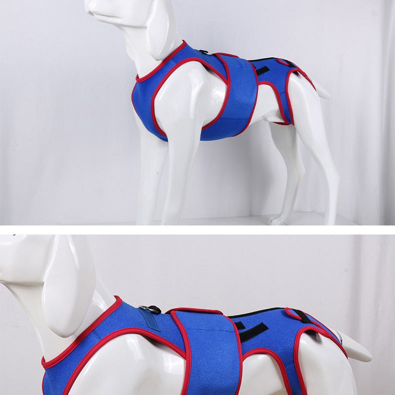 Pet Spine Support Jacket Corrects Posture And Prevents Hunching