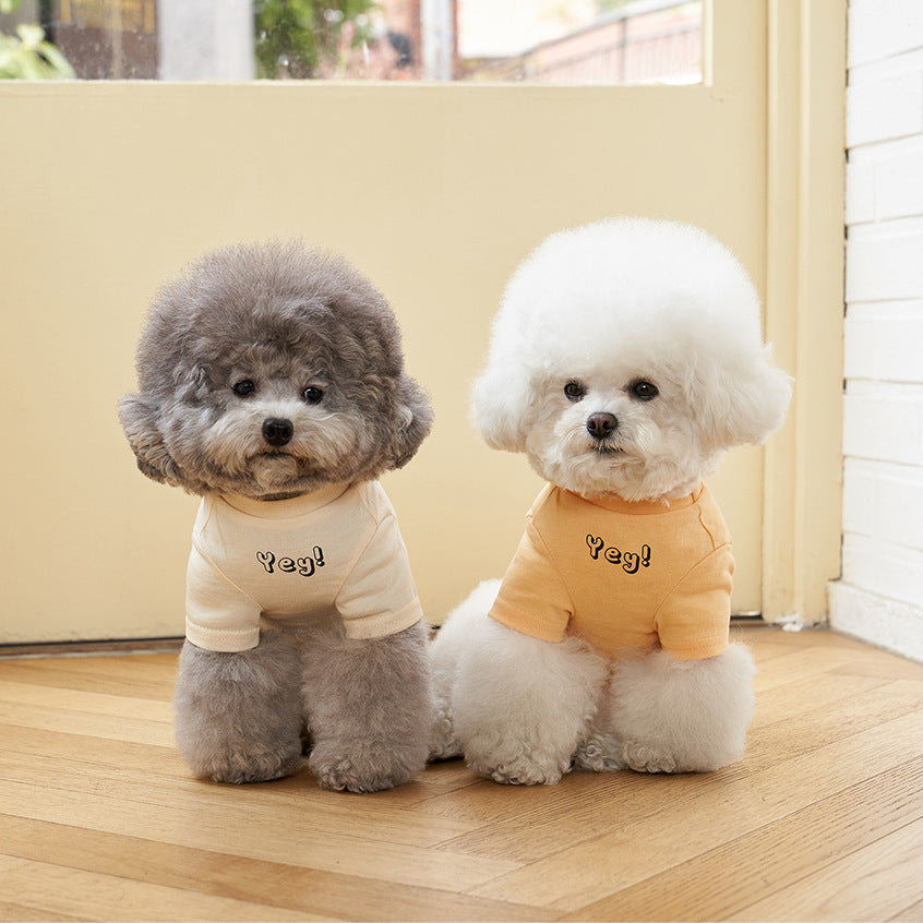 Korean Style Pet Cotton Short Sleeve T-Shirt
