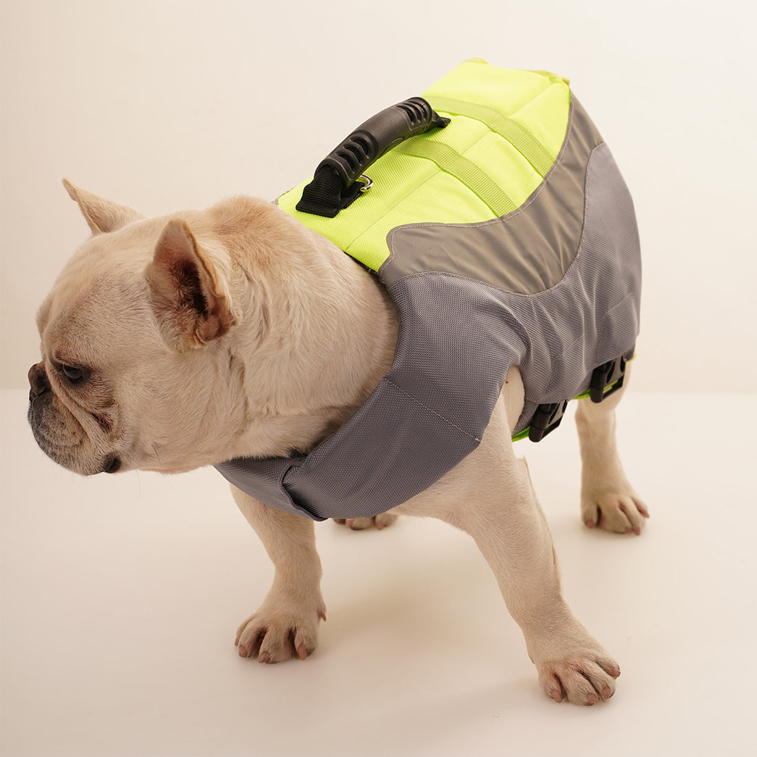 Reflective Pet Life Safety Swimsuit Jacket