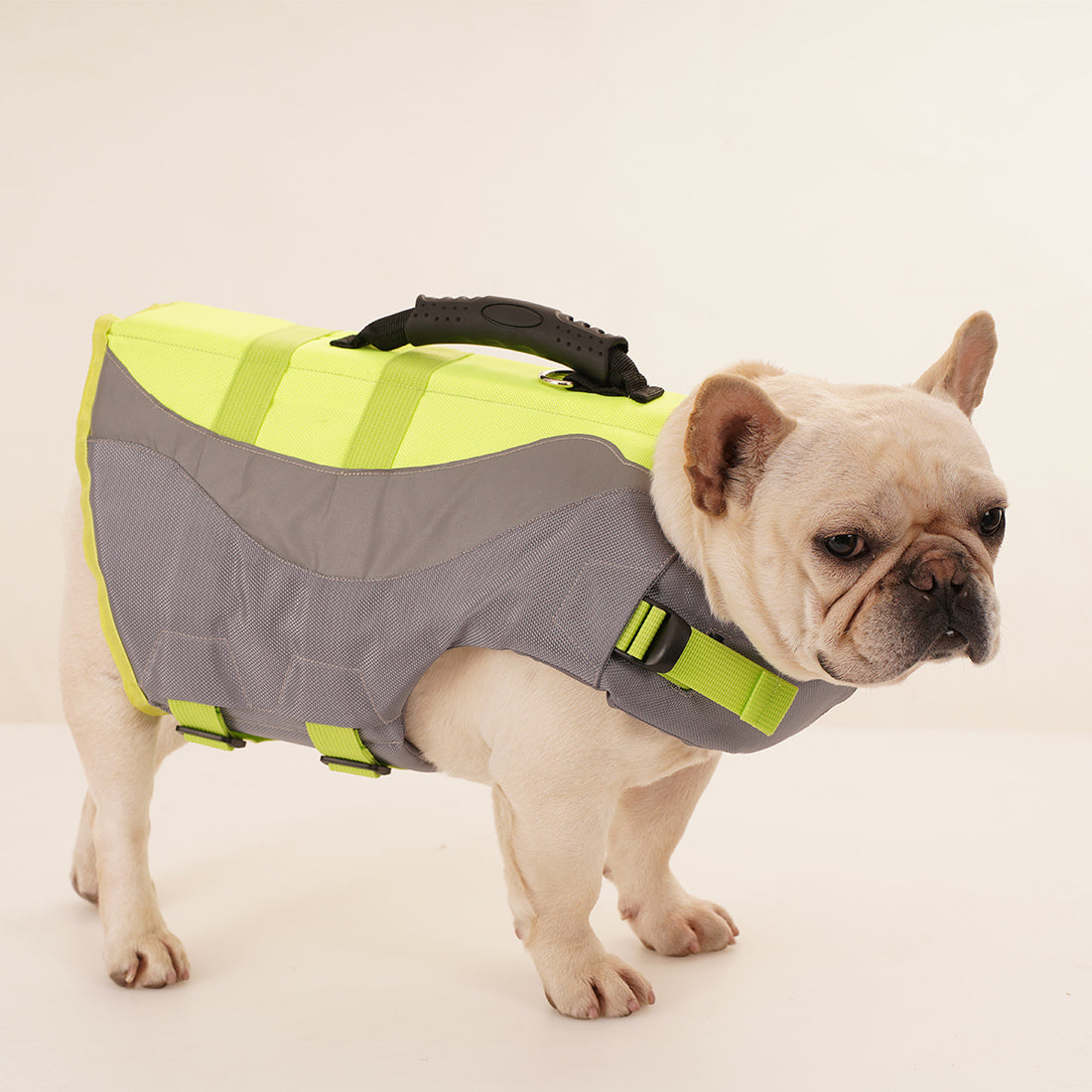Reflective Pet Life Safety Swimsuit Jacket