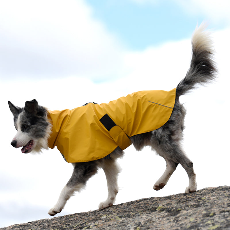 Waterproof Windproof Pet Shell Raincoat Jacket